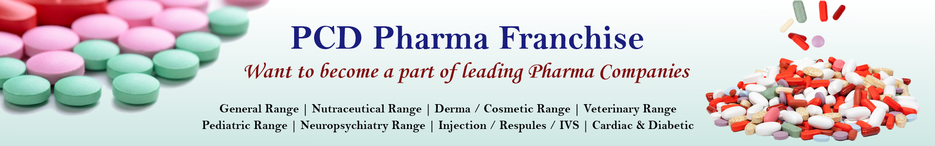 Pharmahook B2B Portal